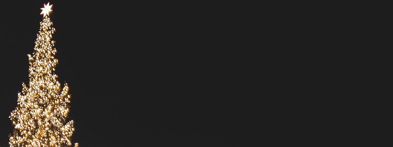 Manteo Christmas Tree Lighting Manteo Christmas Tree Lighting