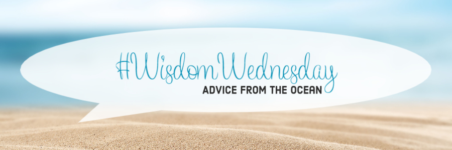 #WisdomWednesday - Advice From The Ocean #WisdomWednesday - Advice From The Ocean
