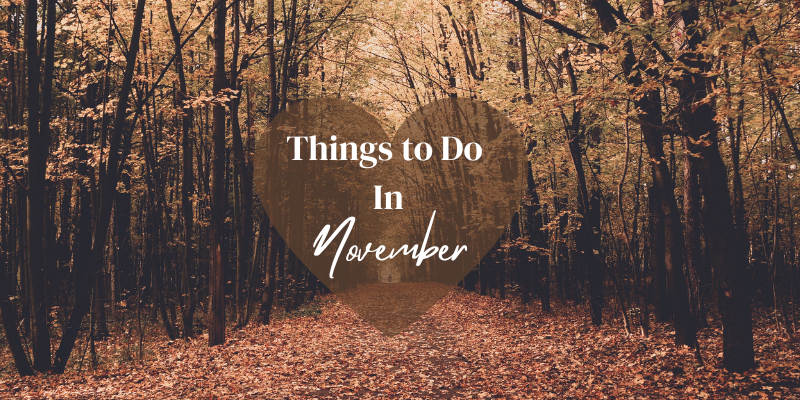 Things to do in November on the Outer Banks Fall background, Things to do in November inside brown heart