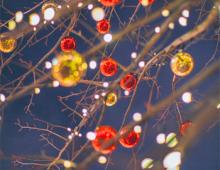 OBX Holiday Events OBX Holiday Events