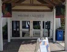 NC Aquarium on Roanoke Island Offers Virtual Programs NC Aquarium on Roanoke Island Offers Virtual Programs