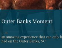 OBX Moment Entries