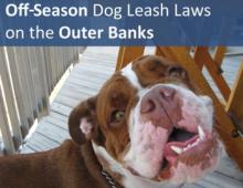 Off-Season Dog Leash Laws on the Outer Banks of North Carolina
