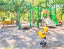 Southern Shores Civic Association Community Amenities Southern Shores Civic Association Community Amenities