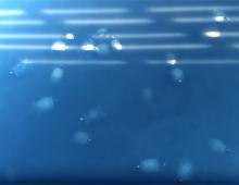 Outer Banks Secret Spot - Turtle Park Outer Banks Secret Spot - Turtle Park