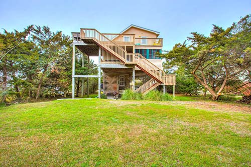 8065 - The Surfing Kitty