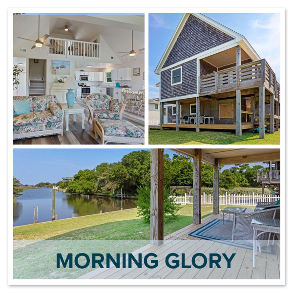 Morning Glory Morning Glory