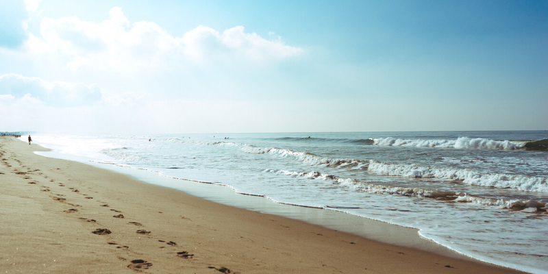 Bring the Outer Banks Beach Home With You Picture of the Outer Banks Beach