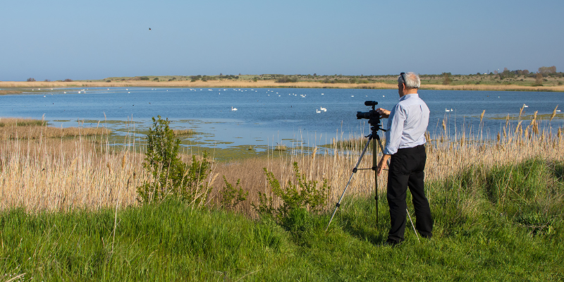 Birdwatching OBX Birdwatching OBX