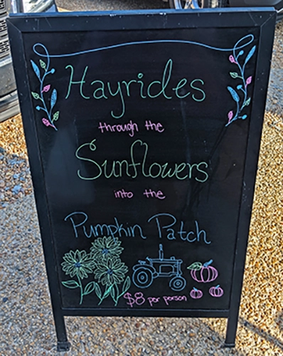 Grandy Pumpkin Patch