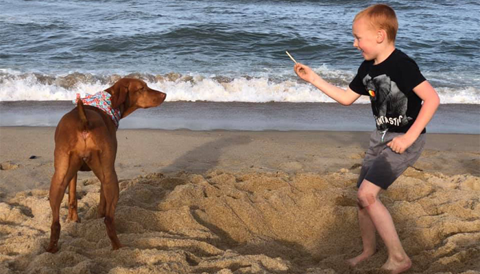 kid and dog playing on the beach