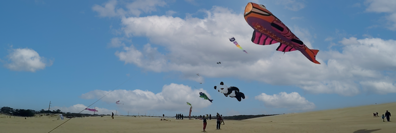 Kite Festival Kite Festival