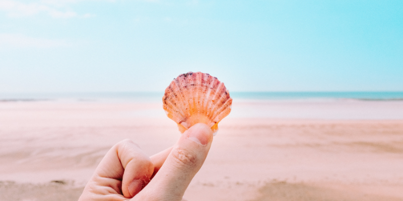 Go Beachcombing Hand holding a seashell against the waves.