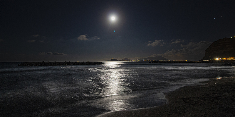 Visit the beach at night to find ghost crabs; image of beach at night with full moon.