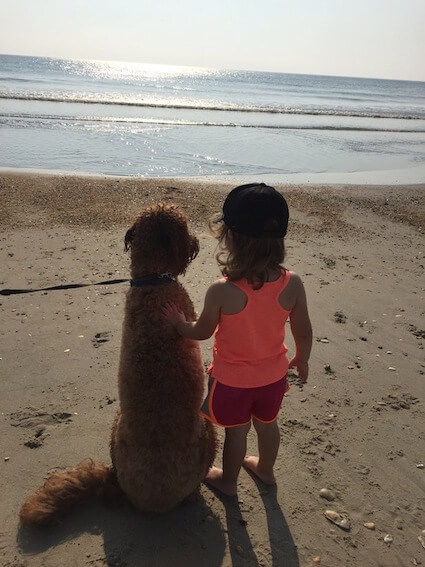 Little girl with her dog on the beach
