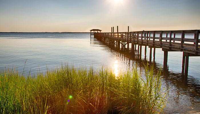 OBX Maritime Forests OBX Maritime Forests