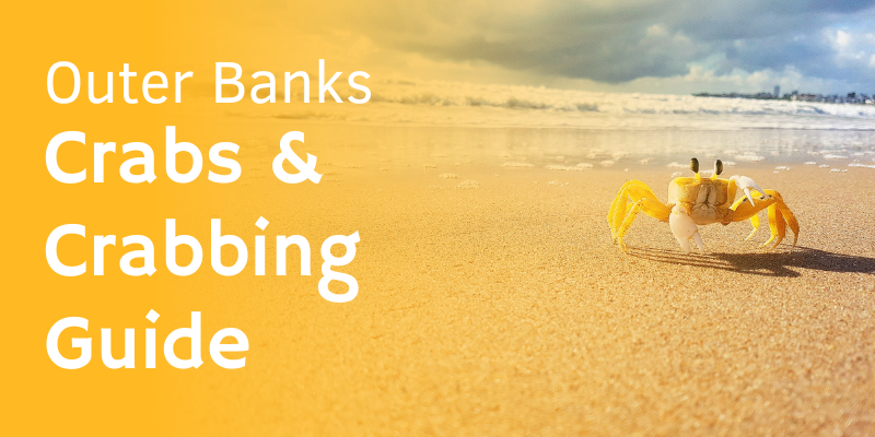 Outer Banks Crabs and Crabbing Guide Image of yellow crab on a beach with the text "Outer Banks Crabs and Crabbing Guide"