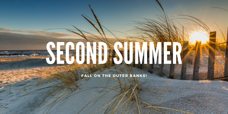 Second Summer Banner Second Summer Banner