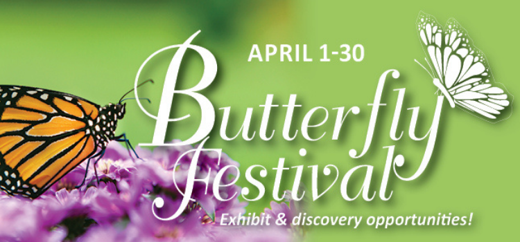 festival, butterfly, elizabethan gardens